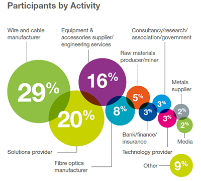 WC17 attendees by activity